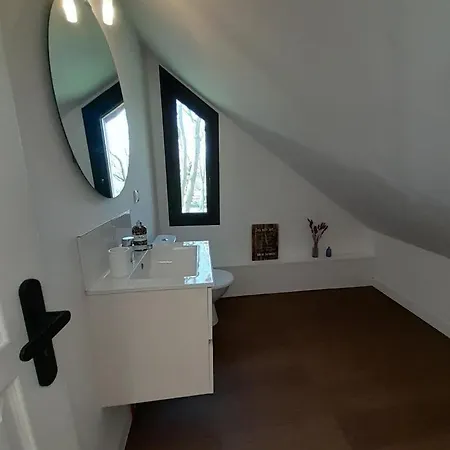 G1529 *